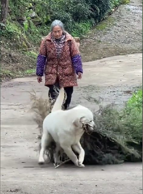 定格动画视频怎么做？一分钟教会你定格动画是怎么做的