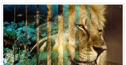 网站ICP备案加急通道实操指南