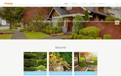 金华网站建设公司