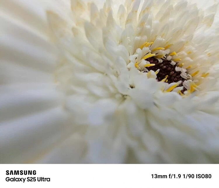 记录欢聚时光 三星Galaxy S25 Ultra实力定格节日光影(图3)