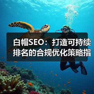 白帽SEO：打造可持续排名的合规优化策略指南（图2）
