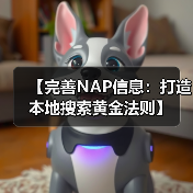 【完善NAP信息：打造本地搜索黄金法则】（图2）