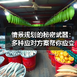 情景规划的秘密武器：多种应对方案帮你应变自如
