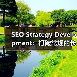 SEO Strategy Development：打破常规的长远规划秘籍（图3）