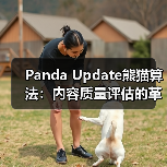 Panda Update熊猫算法：内容质量评估的革命性变革（图3）