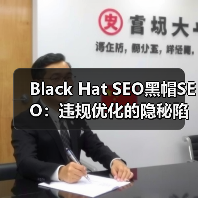 Black Hat SEO黑帽SEO:违规优化的隐秘陷阱与高风险揭秘(图4) Black Hat SEO黑帽SEO:违规优化的隐秘陷阱与高风险揭秘(图4)