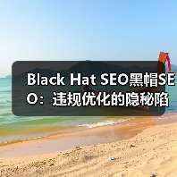 Black Hat SEO黑帽SEO:违规优化的隐秘陷阱与高风险揭秘(图3) Black Hat SEO黑帽SEO:违规优化的隐秘陷阱与高风险揭秘(图3)