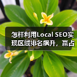 怎样利用Local SEO实现区域排名飙升，赢占附近商机