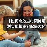 【如何高效进行预算规划实现投资分配最大化？】
