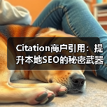 Citation商户引用：提升本地SEO的秘密武器（图4）
