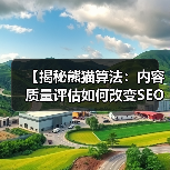 【揭秘熊猫算法：内容质量评估如何改变SEO格局】（图2）