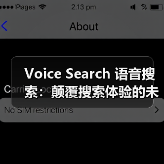 Voice Search 语音搜索：颠覆搜索体验的未来趋势
