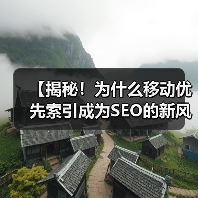 【揭秘！为什么移动优先索引成为SEO的新风口】