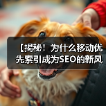 【揭秘!为什么移动优先索引成为SEO的新风口】(图2) 【揭秘!为什么移动优先索引成为SEO的新风口】(图2)
