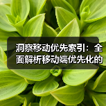 洞察移动优先索引：全面解析移动端优先化的核心策略