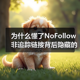 为什么懂了NoFollow非追踪链接背后隐藏的秘密，能让你的SEO策略更上一层楼？个中奥妙远超想象。你或许不曾意识到，那些被标记为NoFollow的广告链接，竟（图4）