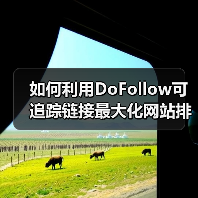 如何利用DoFollow可追踪链接最大化网站排名影响力（图3）