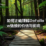 如何正确理解DoFollow链接的价值与影响（图3）