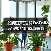 如何正确理解DoFollow链接的价值与影响（图4）