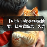 【Rich Snippets富摘要:让搜索结果“火力全开”提升点击率的秘密武器】(图3) 【Rich Snippets富摘要:让搜索结果“火力全开”提升点击率的秘密武器】(图3)