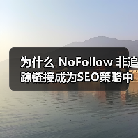为什么 NoFollow 非追踪链接成为SEO策略中的隐藏神器？（图2）