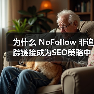 为什么 NoFollow 非追踪链接成为SEO策略中的隐藏神器？