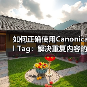 如何正确使用Canonical Tag:解决重复内容的终极指南(图2) 如何正确使用Canonical Tag:解决重复内容的终极指南(图2)