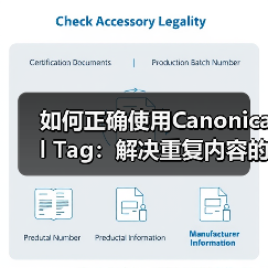 如何正确使用Canonical Tag:解决重复内容的终极指南(图3) 如何正确使用Canonical Tag:解决重复内容的终极指南(图3)