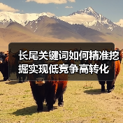 长尾关键词如何精准挖掘实现低竞争高转化（图2）