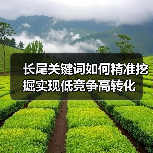 长尾关键词如何精准挖掘实现低竞争高转化（图4）