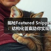 揭秘Featured Snippet:结构化答案助你实现零位排名奇迹(图4) 揭秘Featured Snippet:结构化答案助你实现零位排名奇迹(图4)