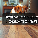 掌握Featured Snippet：答案框和零位排名的秘密武器