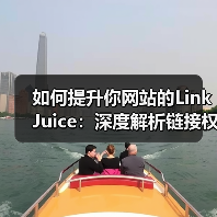 如何提升你网站的Link Juice:深度解析链接权重与排名影响因素(图3) 如何提升你网站的Link Juice:深度解析链接权重与排名影响因素(图3)