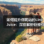 如何提升你网站的Link Juice:深度解析链接权重与排名影响因素(图4) 如何提升你网站的Link Juice:深度解析链接权重与排名影响因素(图4)