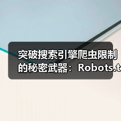 突破搜索引擎爬虫限制的秘密武器：Robots.txt爬虫协议全面解析（图2）