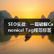 SEO实战:一篇破解Canonical Tag规范标签的完整指南(图2) SEO实战:一篇破解Canonical Tag规范标签的完整指南(图2)