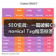 SEO实战:一篇破解Canonical Tag规范标签的完整指南(图3) SEO实战:一篇破解Canonical Tag规范标签的完整指南(图3)