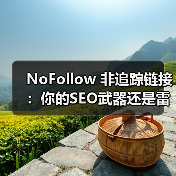 NoFollow 非追踪链接：你的SEO武器还是雷区？（图4）