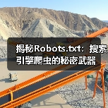 揭秘Robots.txt：搜索引擎爬虫的秘密武器（图2）