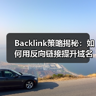 Backlink策略揭秘：如何用反向链接提升域名权重与链接建设