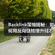 Backlink策略揭秘：如何用反向链接提升域名权重与链接建设（图4）