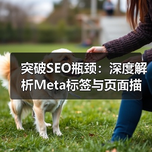 突破SEO瓶颈:深度解析Meta标签与页面描述的奥秘(图4) 突破SEO瓶颈:深度解析Meta标签与页面描述的奥秘(图4)