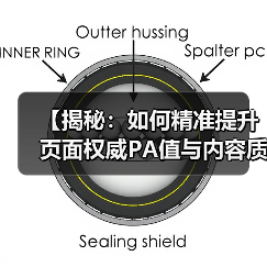 【揭秘：如何精准提升页面权威PA值与内容质量指标】（图2）