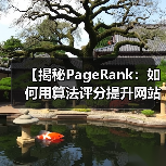 【揭秘PageRank：如何用算法评分提升网站排名】
