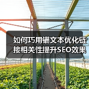 如何巧用锚文本优化链接相关性提升SEO效果（图3）