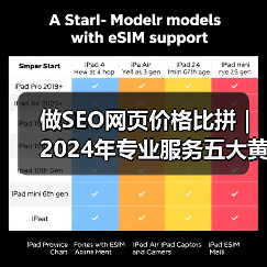 做SEO网页价格比拼｜2024年专业服务五大黄金标准解析（图4）