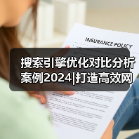搜索引擎优化对比分析案例2024|打造高效网站策略