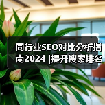 同行业SEO对比分析指南2024 |提升搜索排名的实用策略（图2）