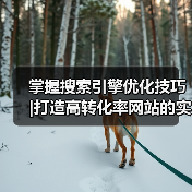 掌握搜索引擎优化技巧 |打造高转化率网站的实用秘籍2024（图2）