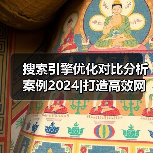 搜索引擎优化对比分析案例2024|打造高效网站策略（图3）